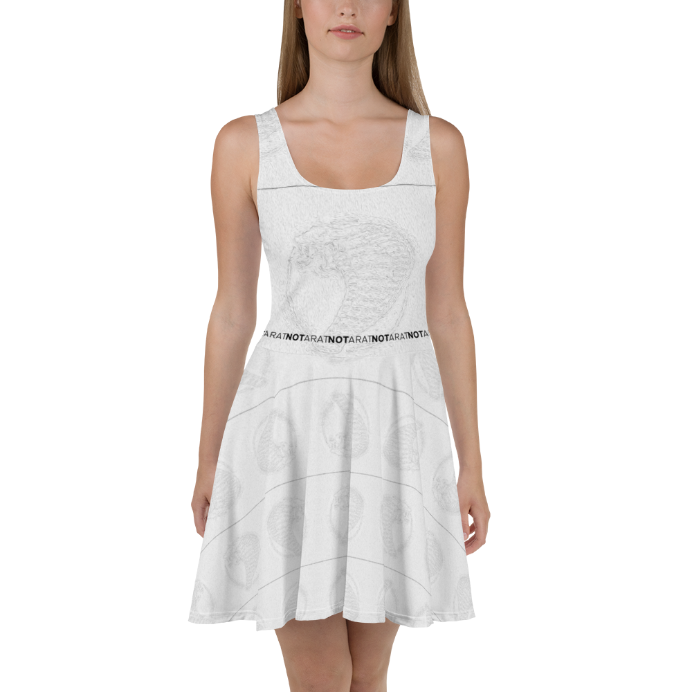 Notarat "cream" Skater Dress