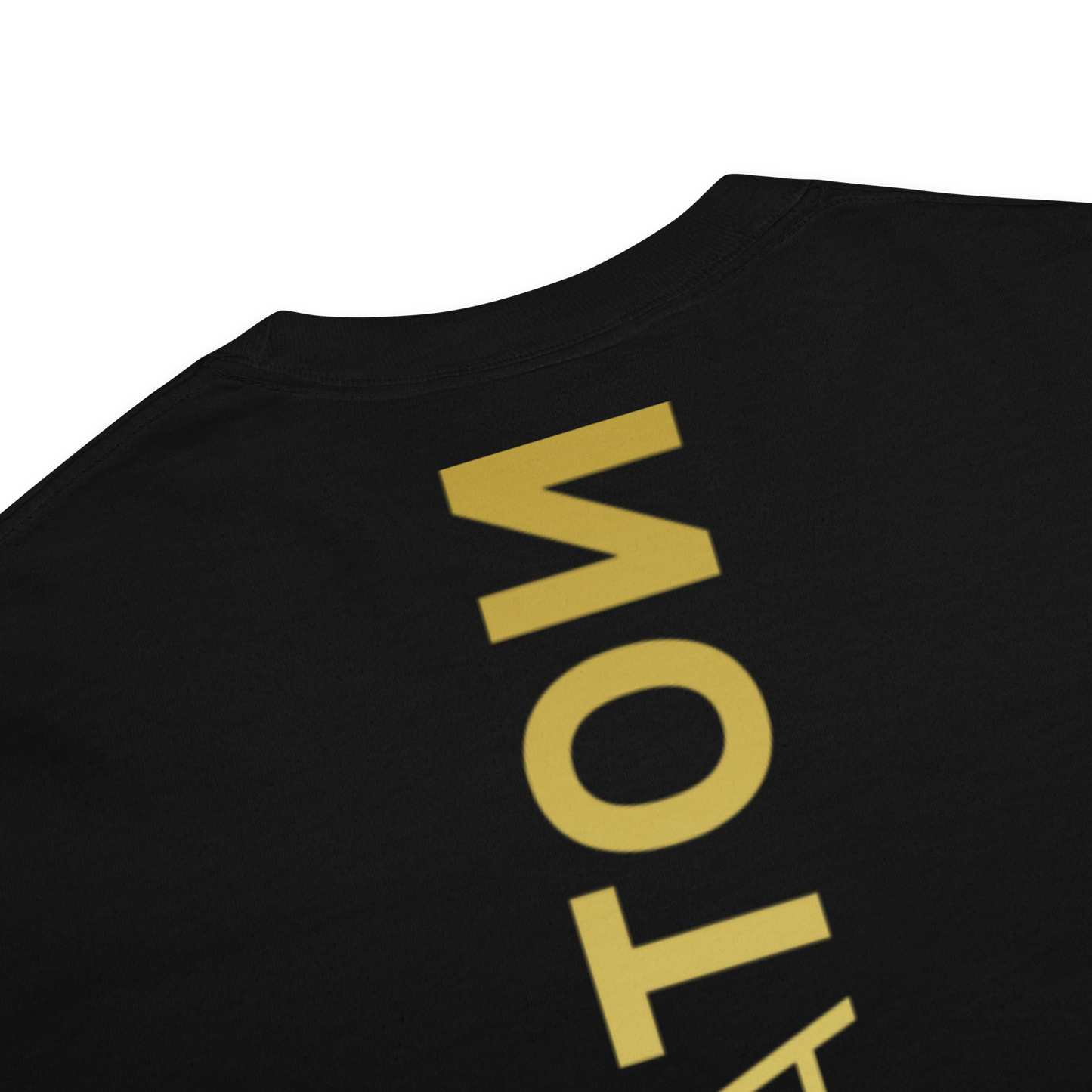 NOTARAT Gold Standard garment-dyed t-shirt