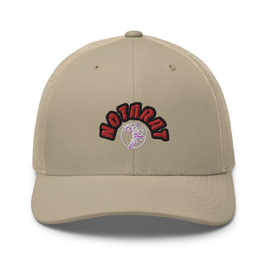Gorra de camionero